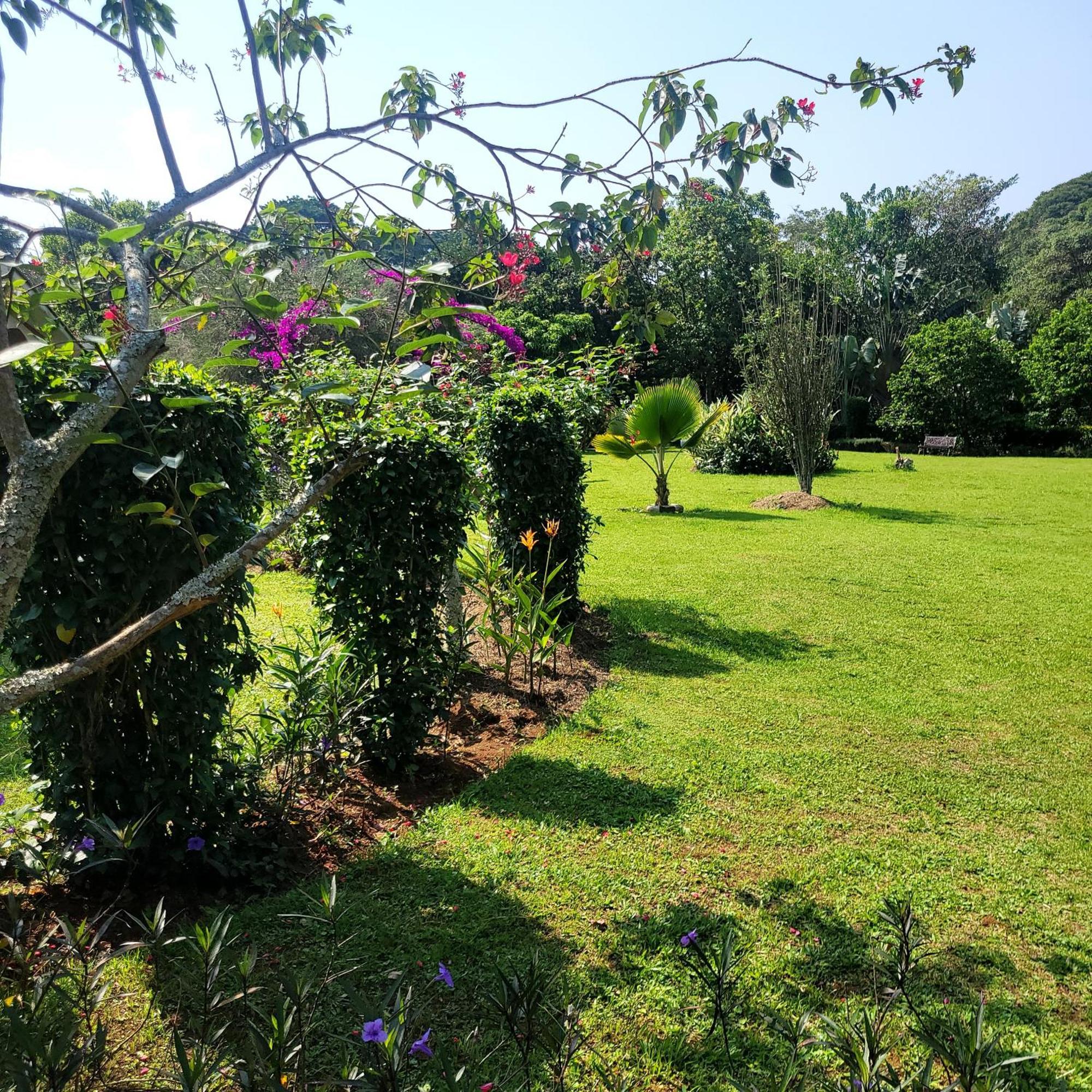 Philo Leisure Gardens Hotel Kalangala Ngoại thất bức ảnh